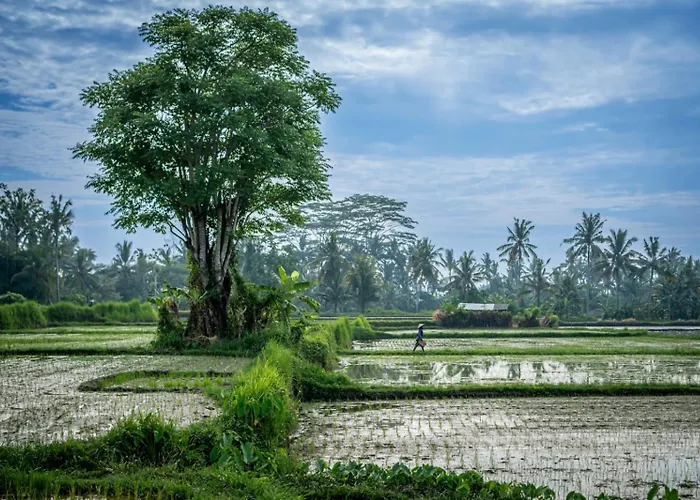 The Queen Bamboo Villa
